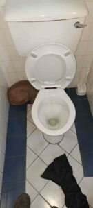 You will Never Guess what Type of Animal this Dockworker Found Hidden in the Bathroom. Read and Find out.