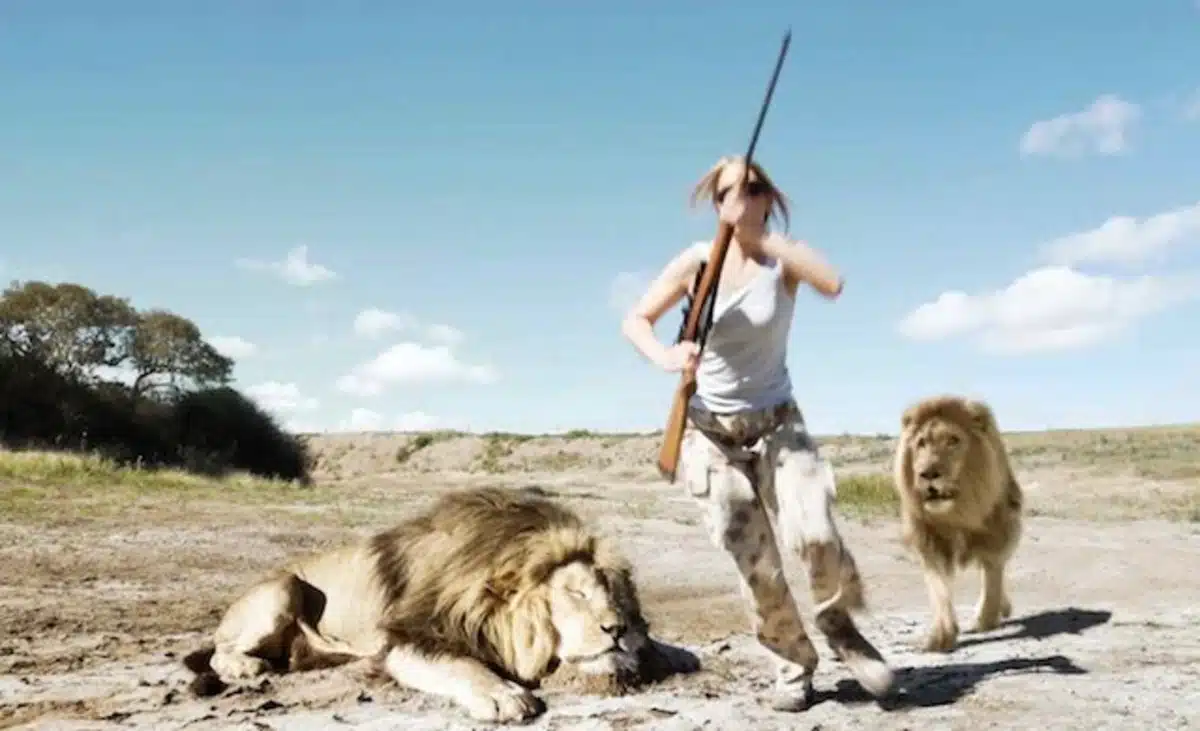 Trophy Hunter Attacked by Lion