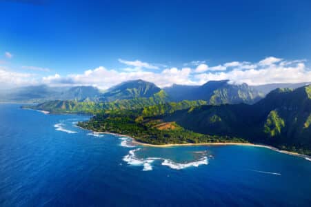 The Top 5 Most Dangerous Animals in Hawaii