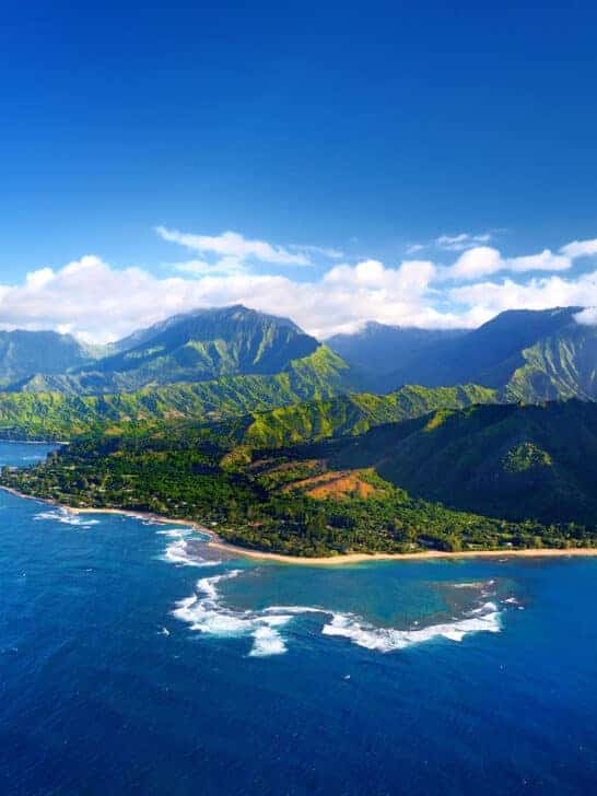 The Top 5 Most Dangerous Animals in Hawaii