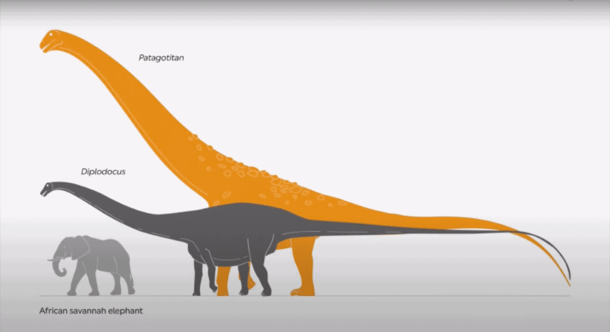 TITANOSAUR