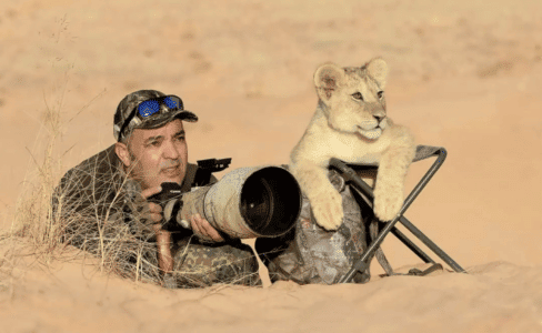 Lion Cub Becomes Wildlife Photographer’s Loyal Assistant📸🦁