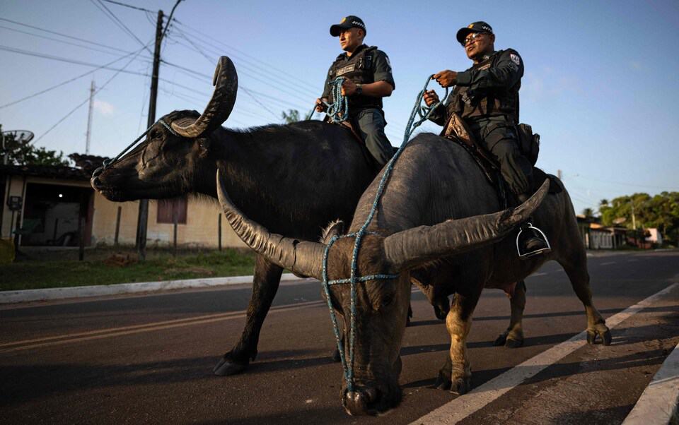 Buffalo Soldiers in Brazil