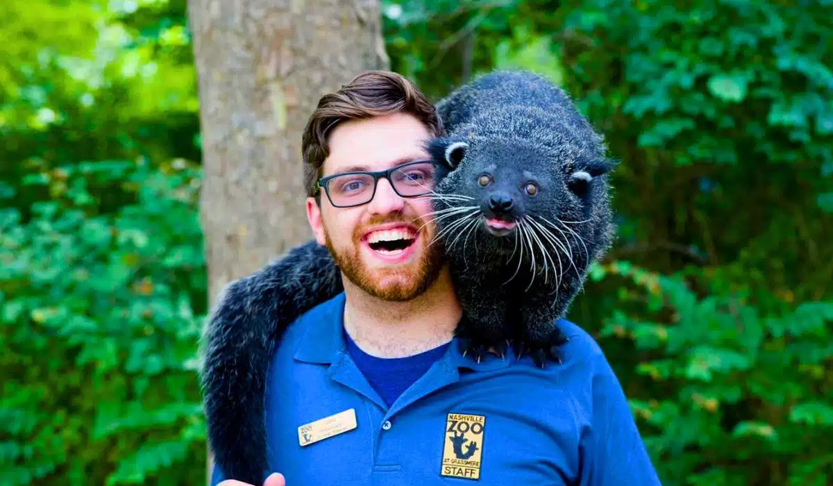 wilbur the binturong from Nashville