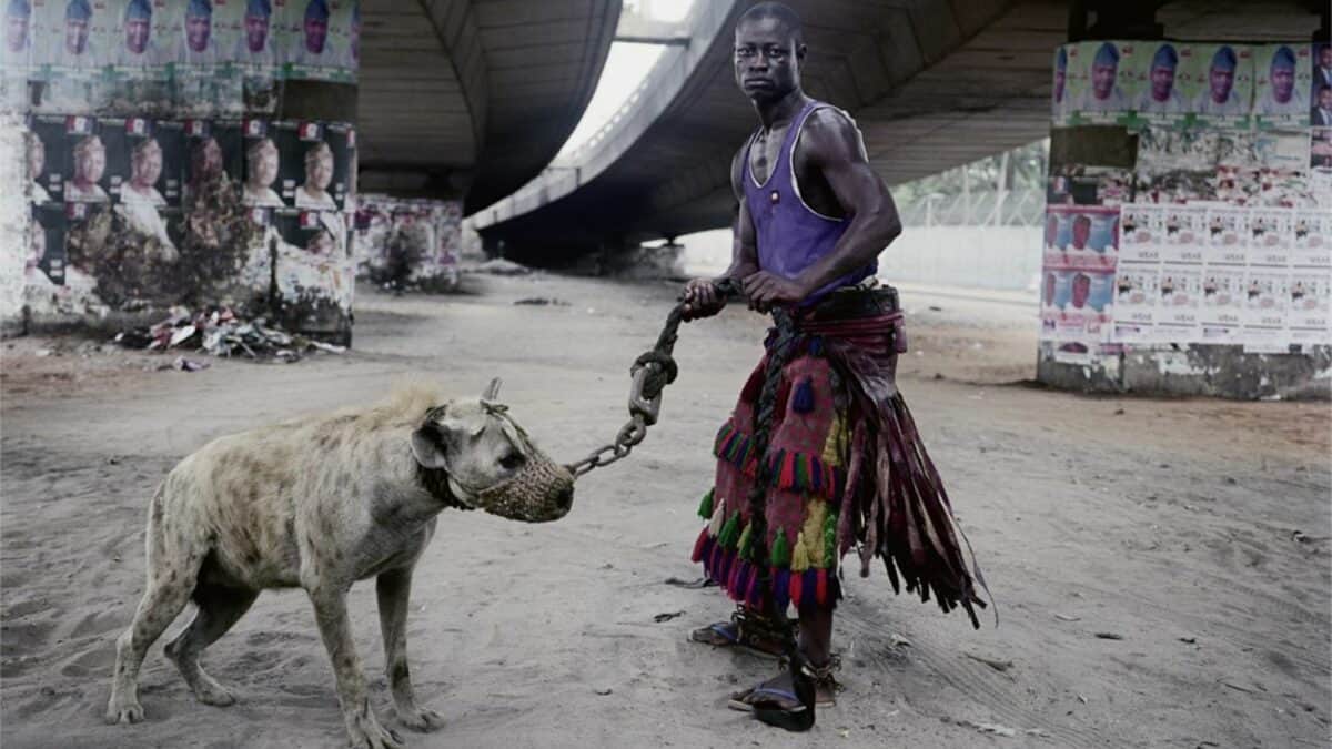 man with hyena
