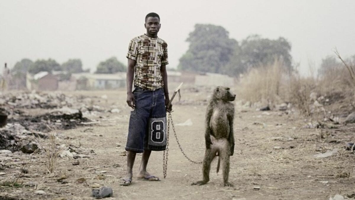 Man with baboon