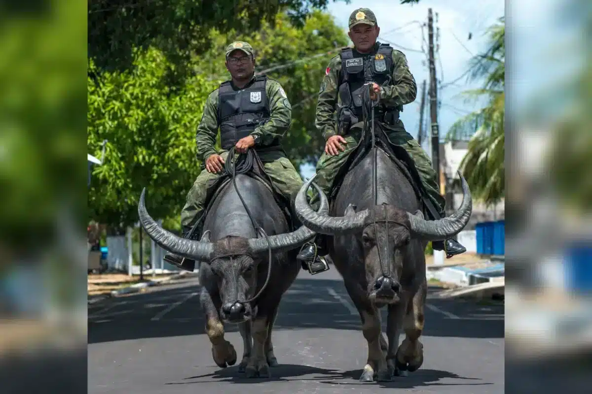 Buffalo Soldiers in Brazil