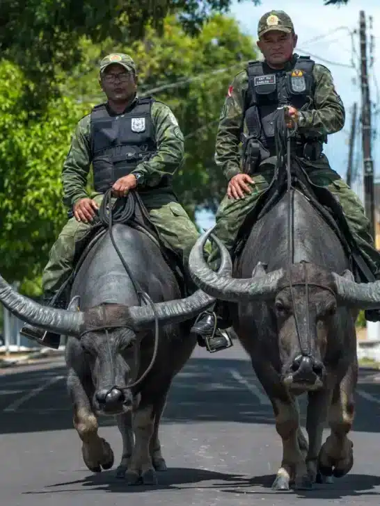 Watch: Buffalo Soldiers on Patrol in Brazil