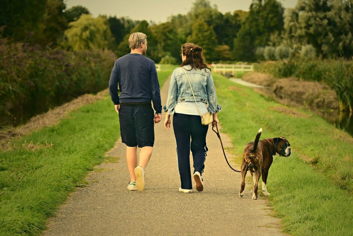 A couple taking their dog for a walk in nature. One of the activities you could do this Valentine's Day. Image by MabelAmber on Pixabay