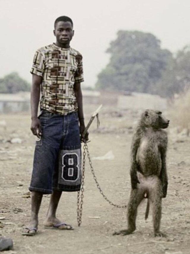 Man with baboon