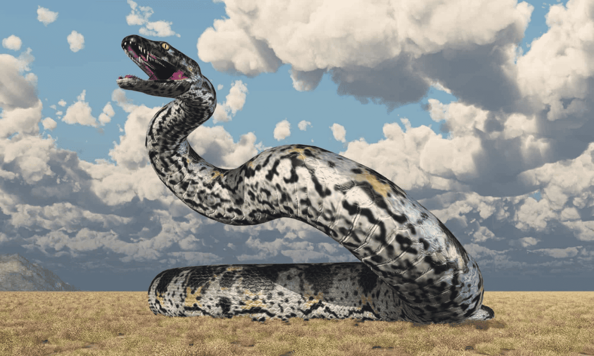 titanoboa