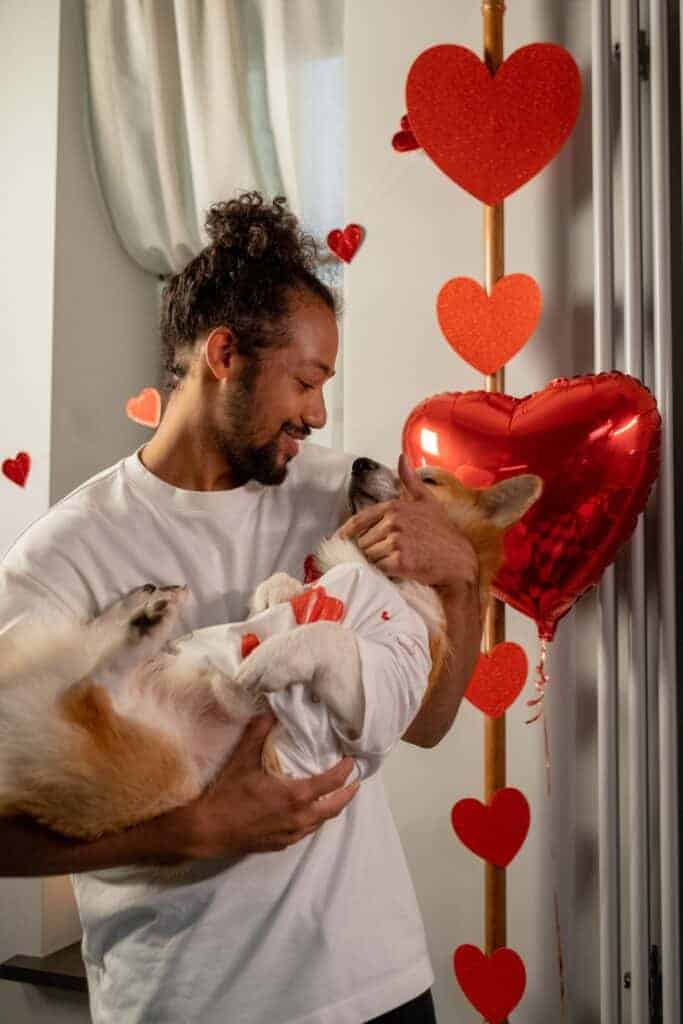 A dog and its owner celebrating love on Valentine's Day. Be sure to pack the decorations away after the fun! Image by Ron Lach via Pexels.