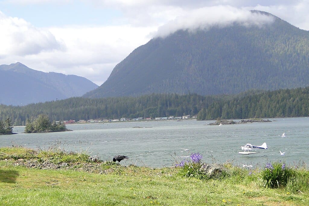 Tofino Harbour 