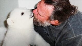 man raises polar bear cub