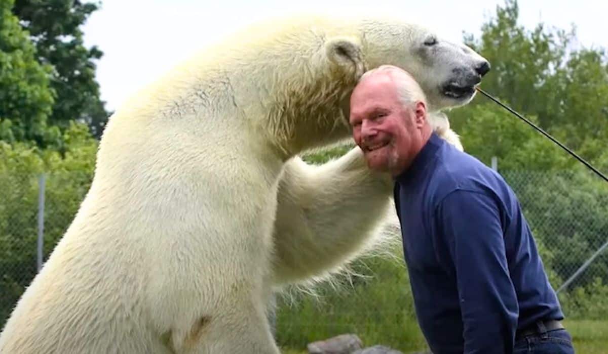 Man raises polar bear cub 