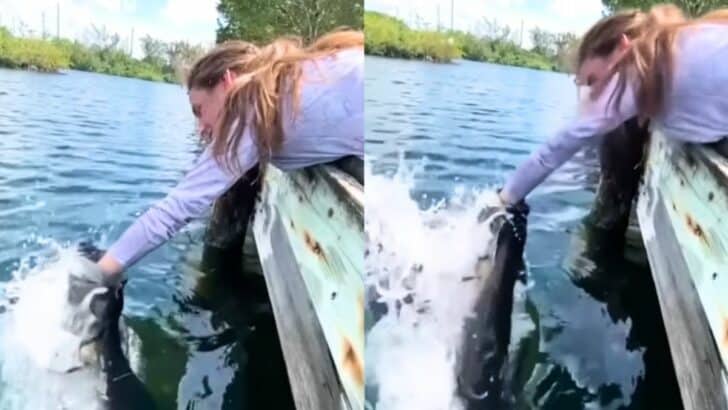 Must-Watch: Girl Catches HUGE Fish Only Using a Hot Dog