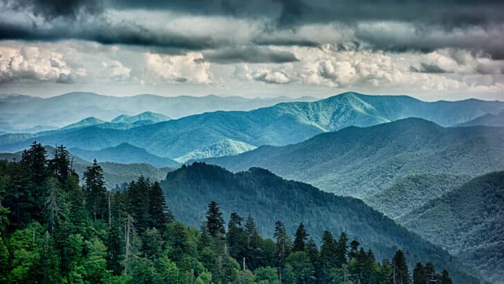 The Most Snake-Infested Hiking Trails in Tennessee