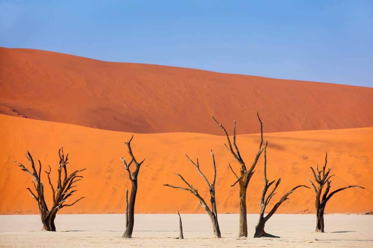 namibia