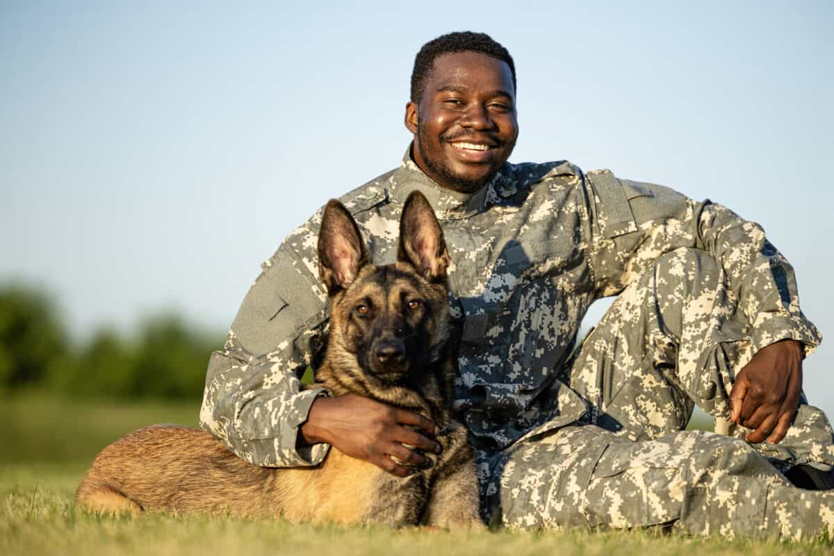 Military dogs