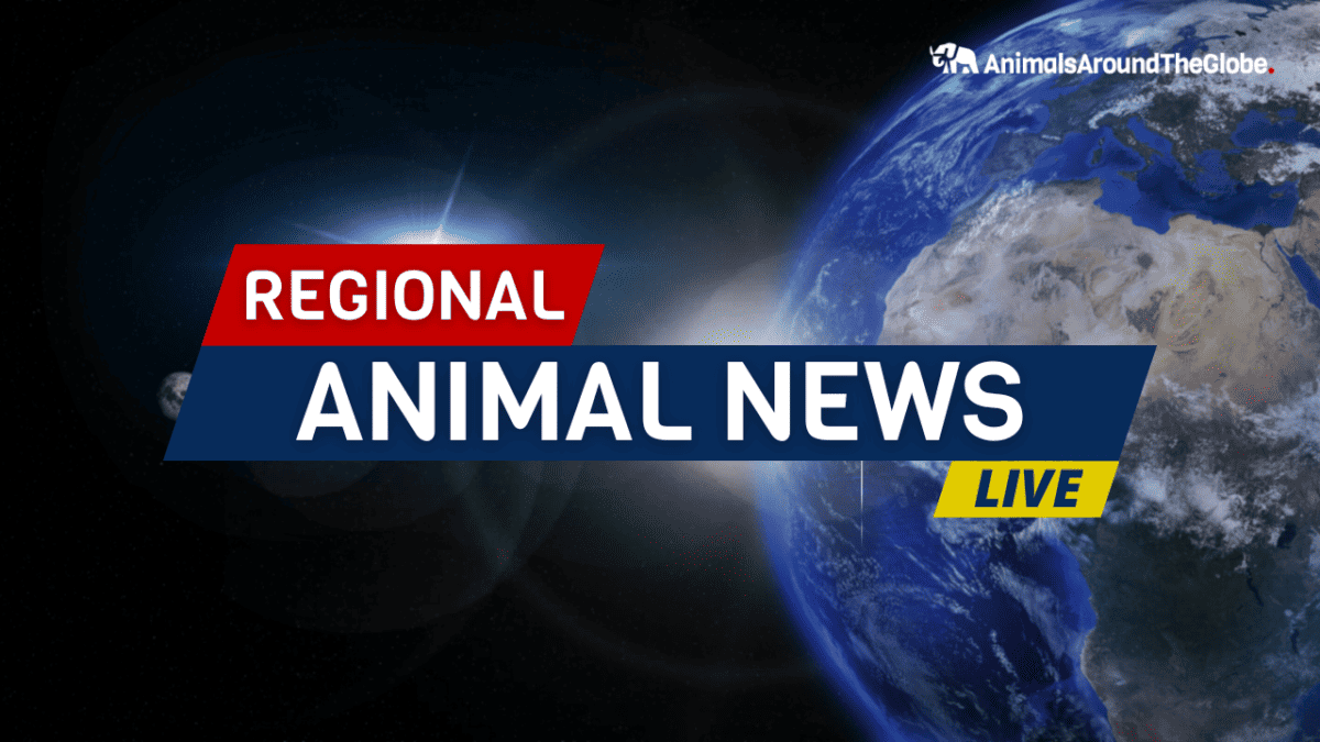 Regional Animal News by AATG via Canva