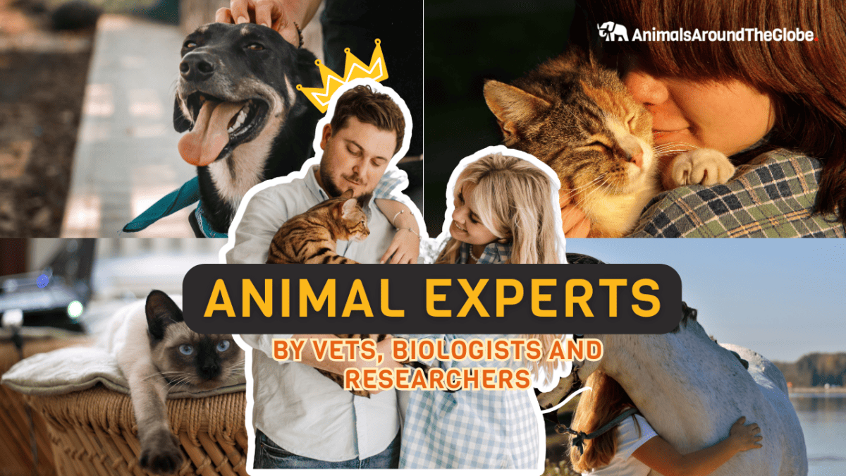 Animal Experts by Animals Around The Globe. Image from Canva
