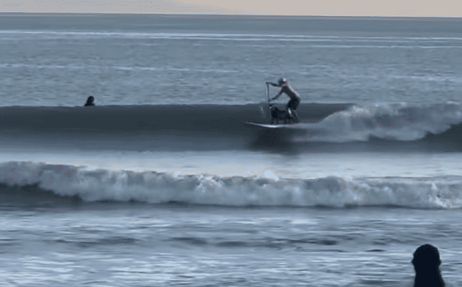 The Surfing Goat