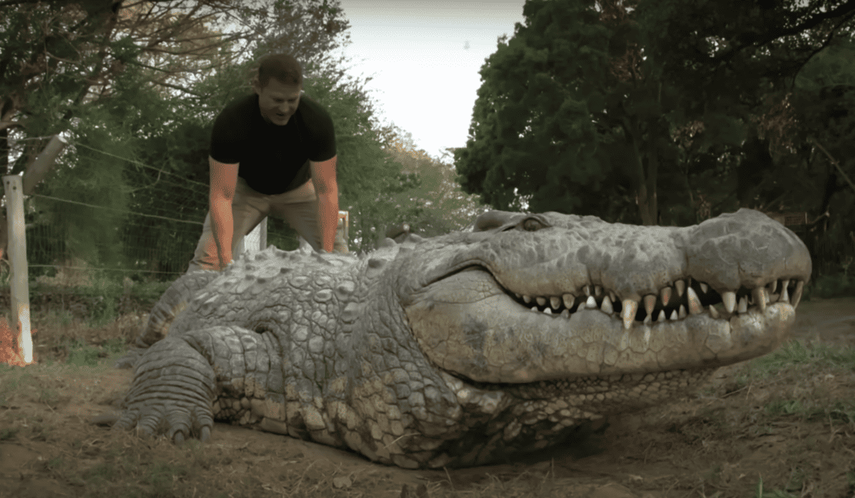The World's Oldest Crocodile.