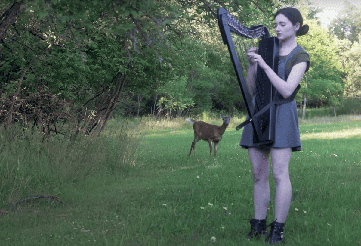 Deer Turns Her Harp Session Into A Disney Movie