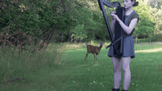 Deer Turns Her Harp Session Into A Disney Movie
