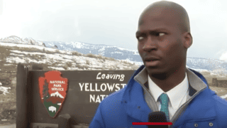 Watch Viral Reporter’s Hilarious Reaction To Approaching Bison