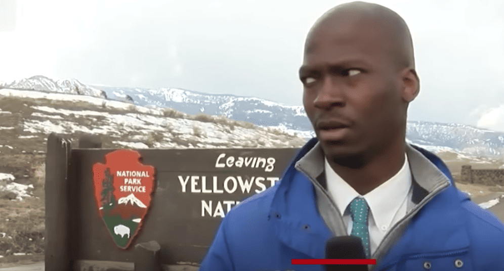 Watch Viral Reporter’s Hilarious Reaction To Approaching Bison