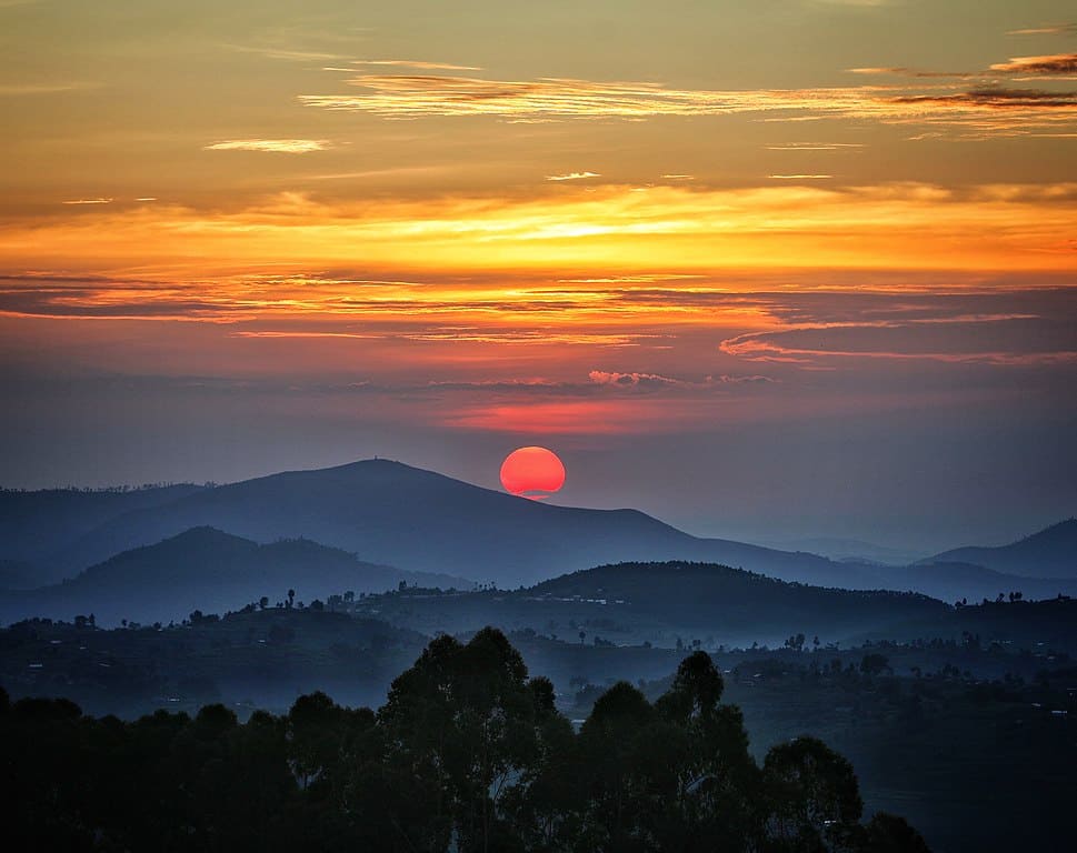 nyungwe forest rwanda