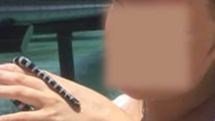 Woman Takes Selfies With Venomous Sea Krait & Lives To Tell The Tale