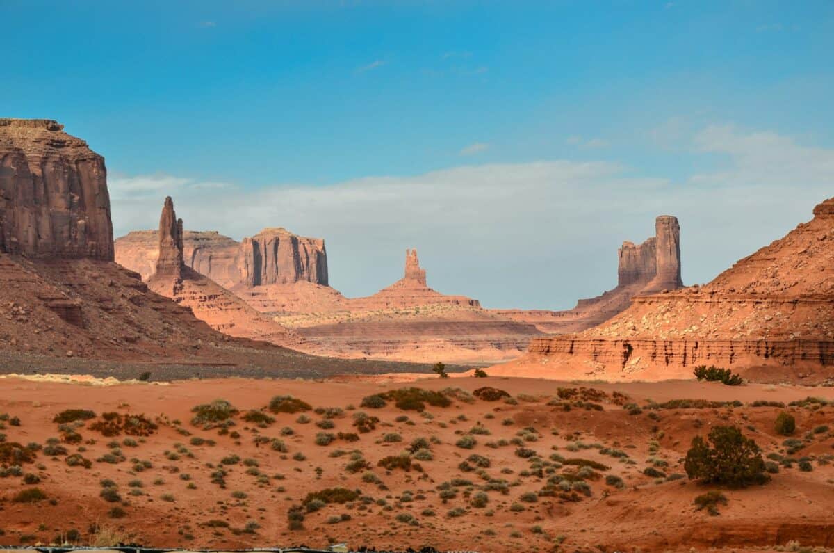 animals adapted to Arizona