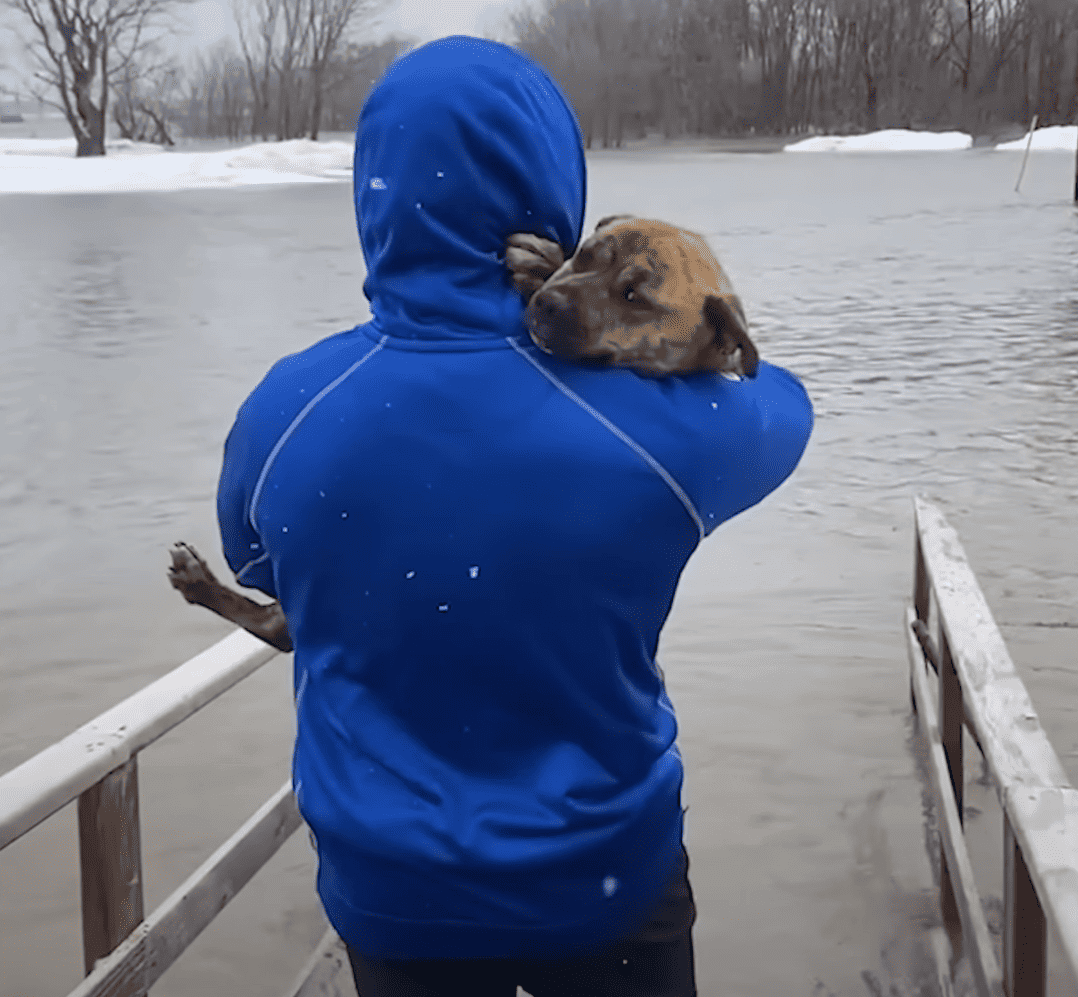 Man rescues dog during a storm.