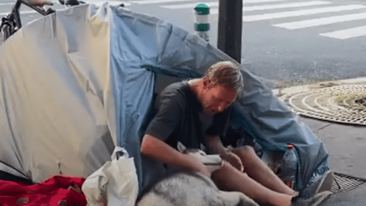 Homeless Man Develops Life-Changing Friendship with a Husky