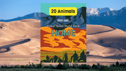 20 Animals That Call The Great Sand Dunes National Park Home