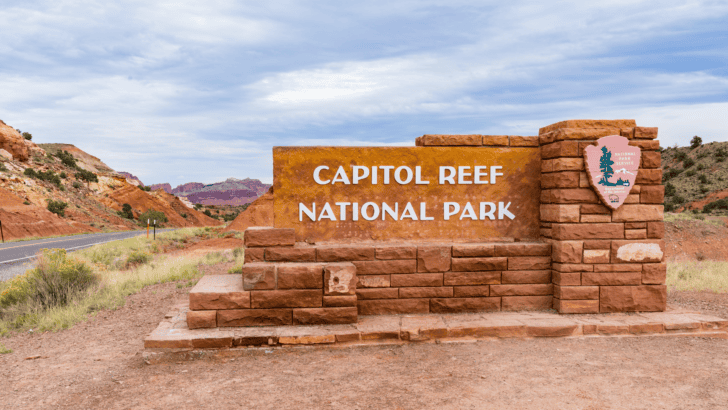 21 Animals That CAll Capitol Reef National Park Home