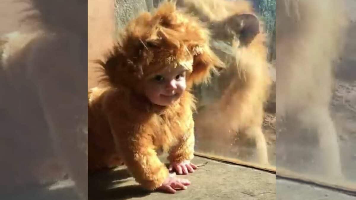 Baby in Lion-Costume