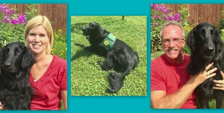 A Tale of Silent Heroism With Deaf Puppy Bo