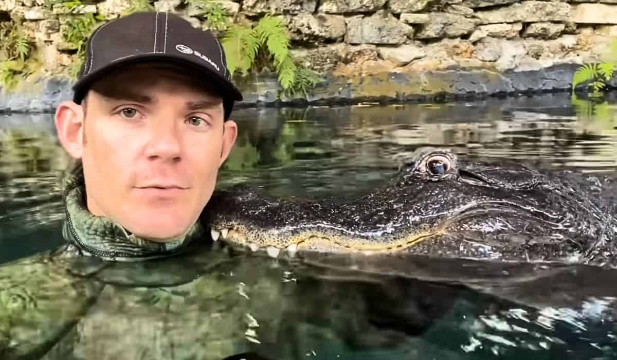 man trains alligator