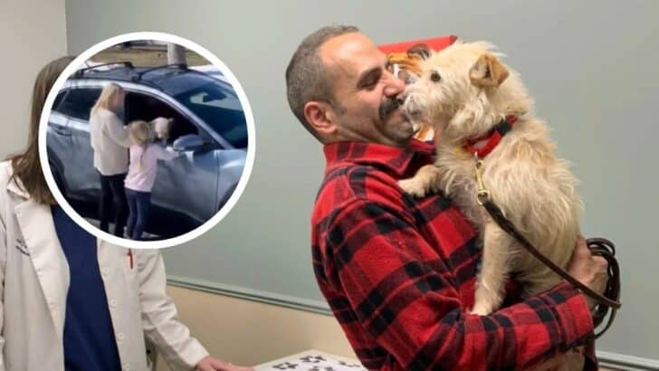California Family Finds Missing Dog in Michigan