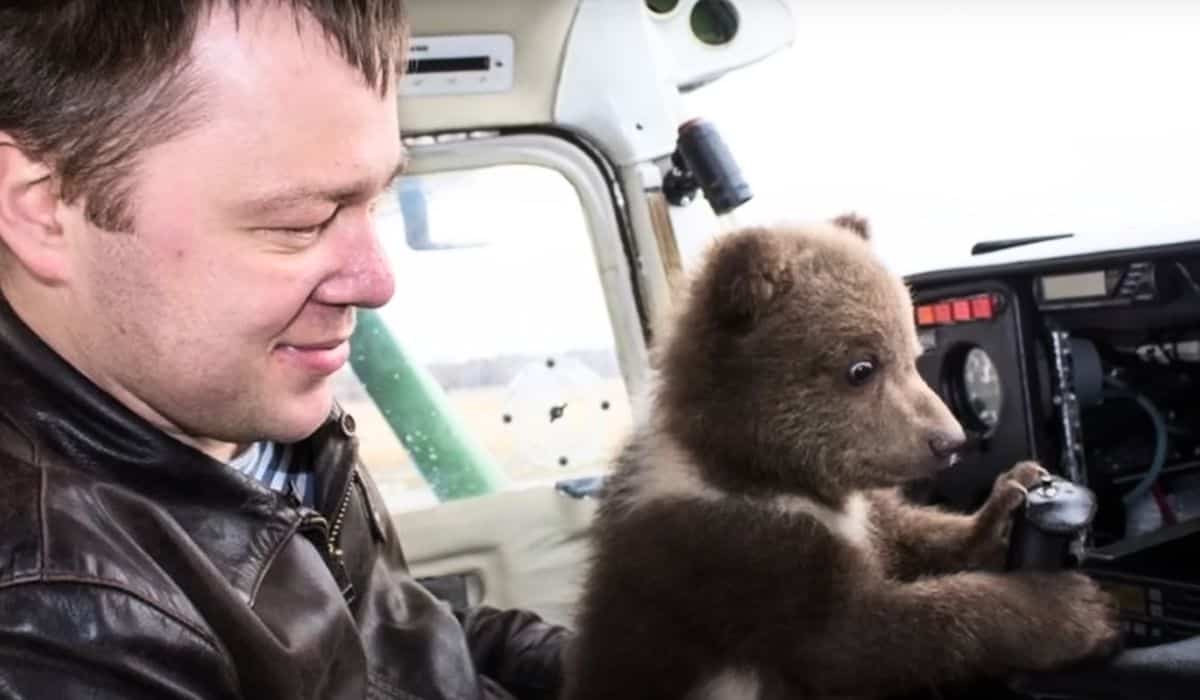 baby bear rescued by pilot