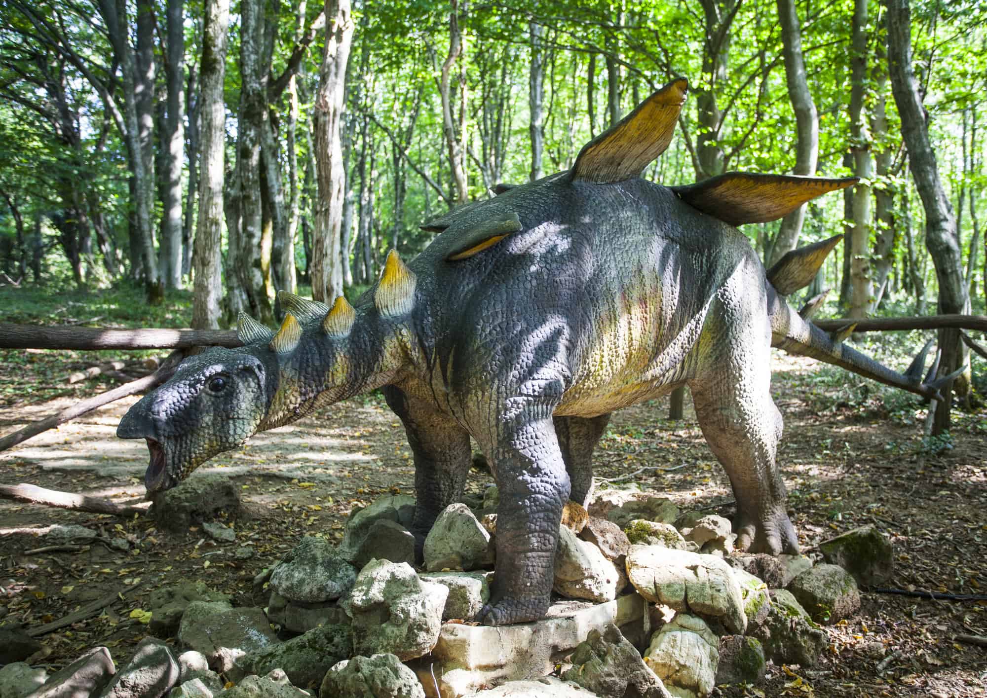 stegosaurus