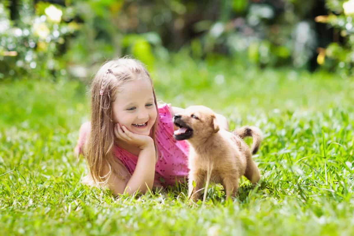 Happy kid looking at cute little puppy.