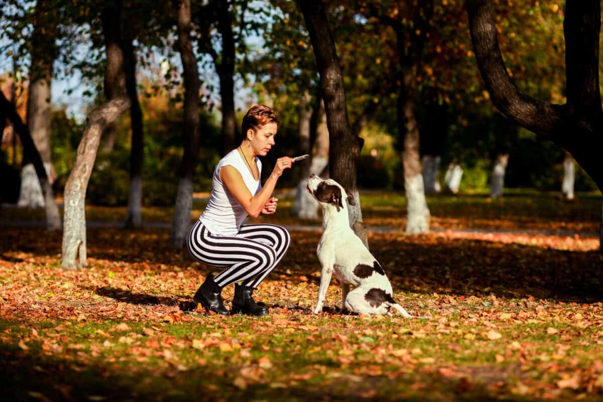 Human and Dog in Park