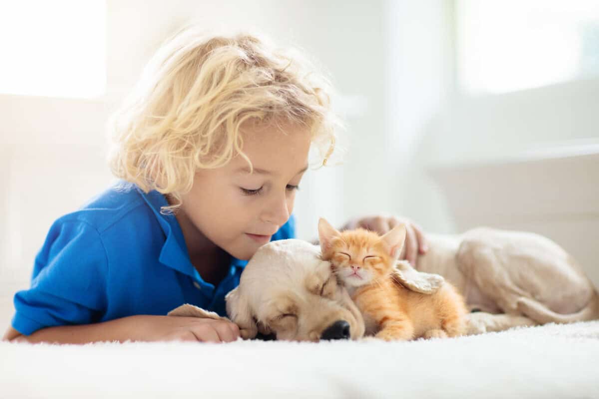 Child playing with puppy and kitten.