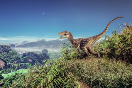 A Lizard Has the Same Gait as Velociraptors