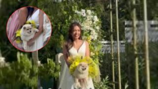Dog as Wedding Bouquet