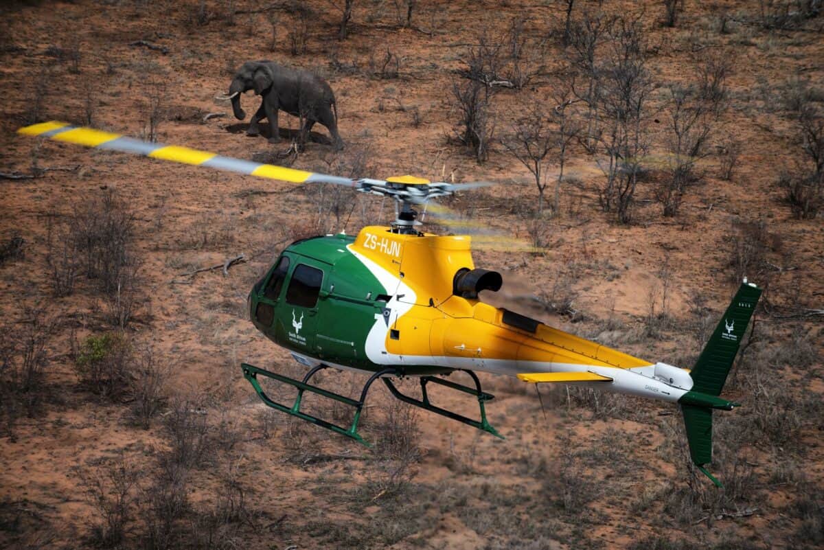 Helicopter Catch Elephant